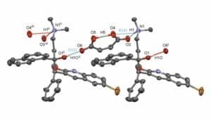 Maleate salts of bedaquiline